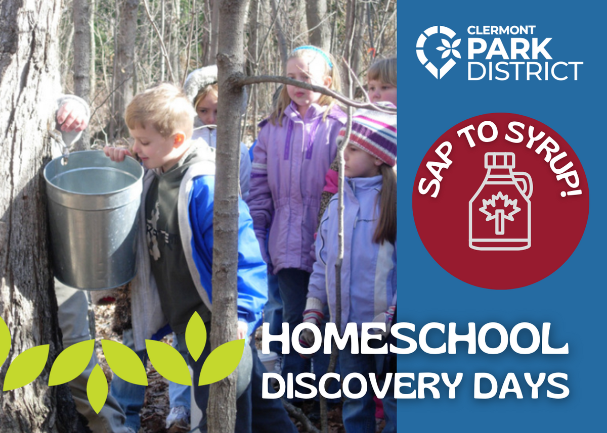 Homeschool discovery days is at the bottom with graphic leaves, above is a picture of children looking into a metal sap pail on a tree